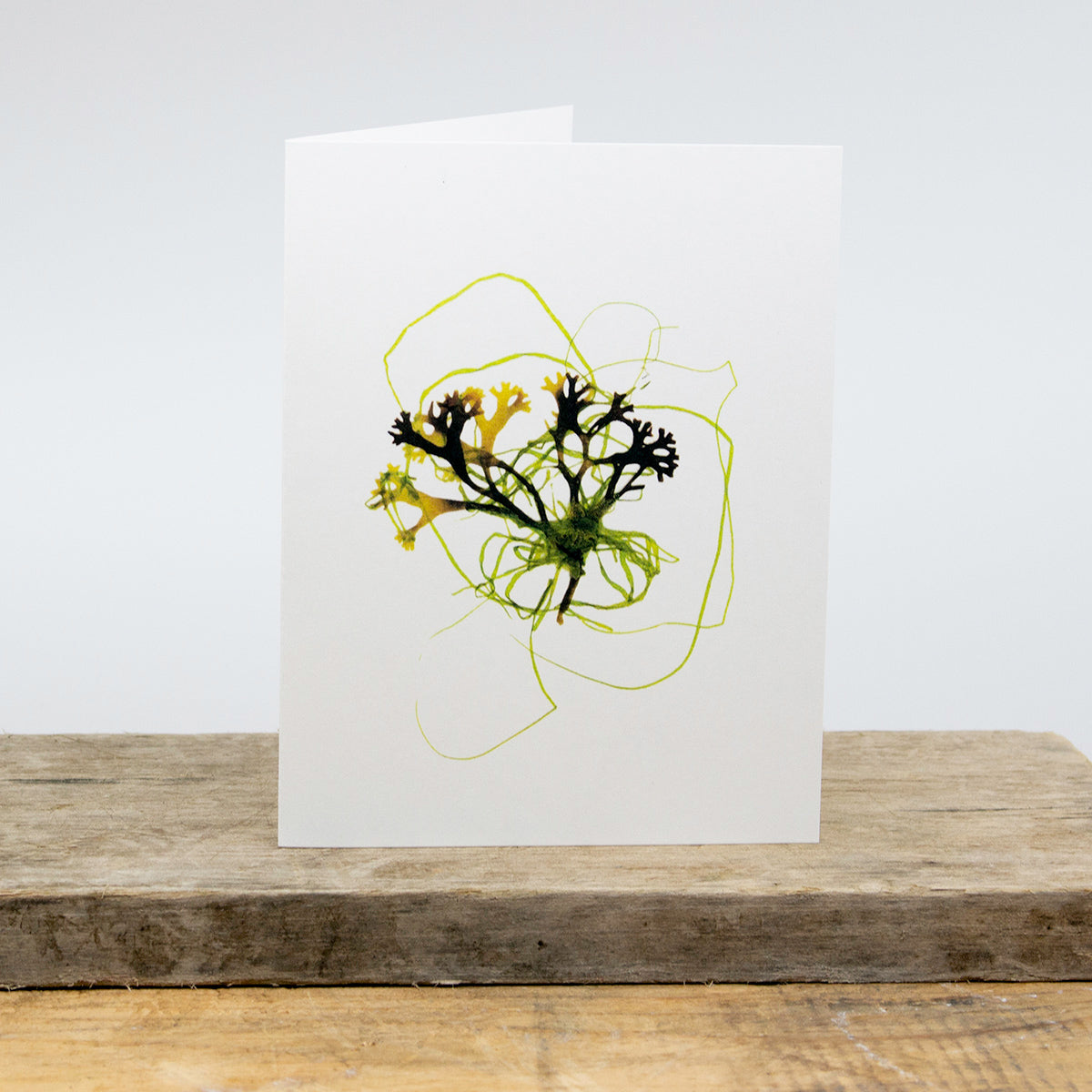 Narragansett Bay Card Package