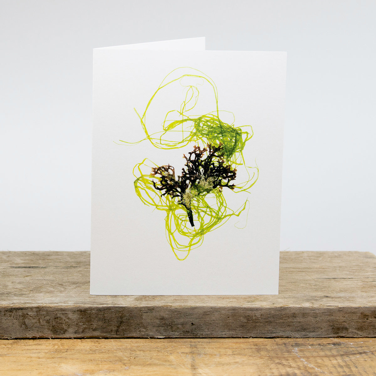 Sachuest Point Card Package