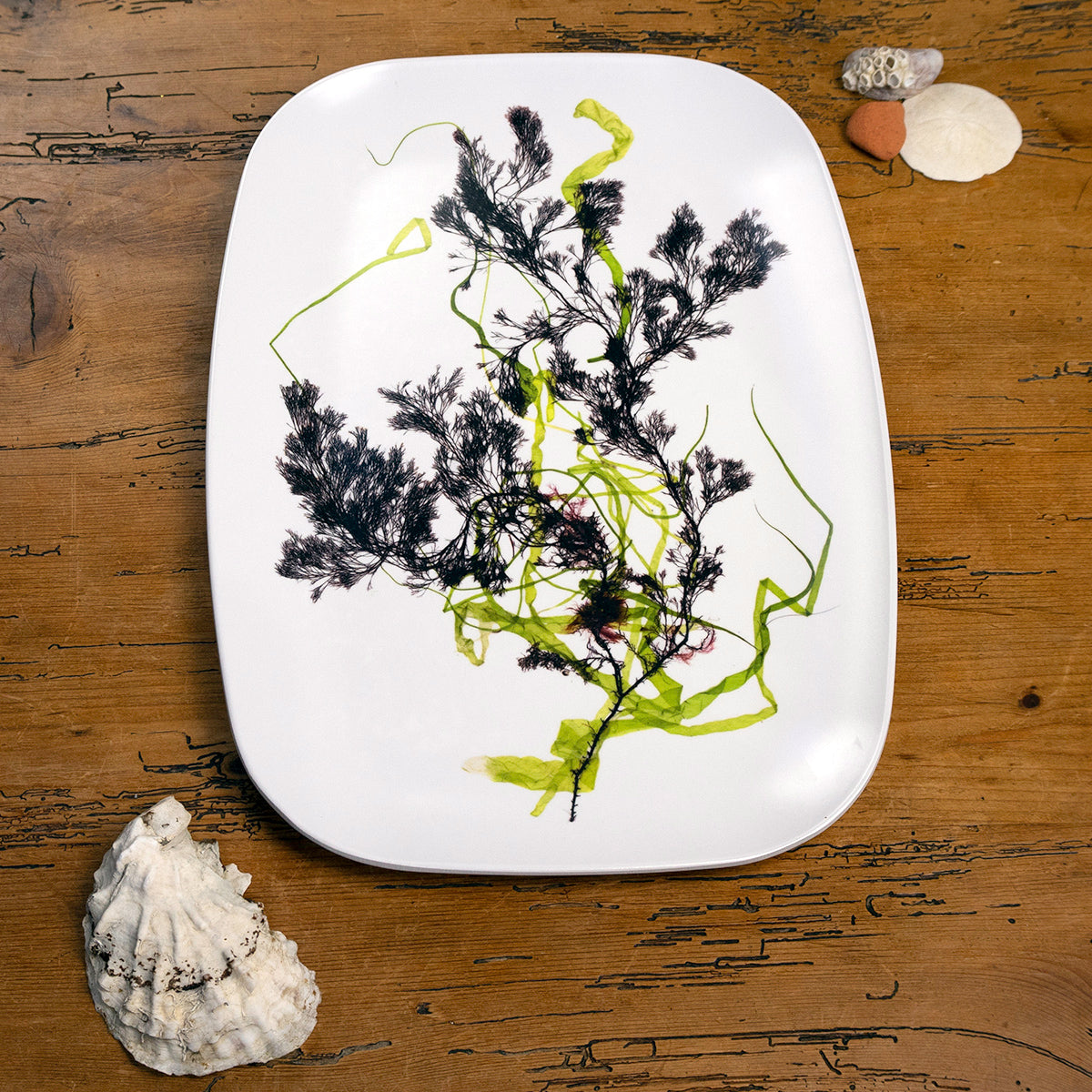 Connanicut Collage Platter