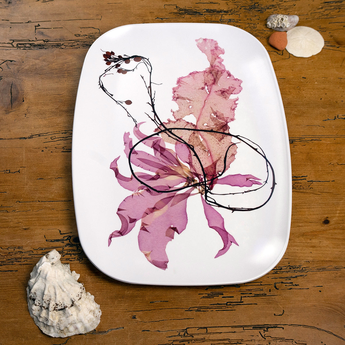 Sachuest Sargassum Platter