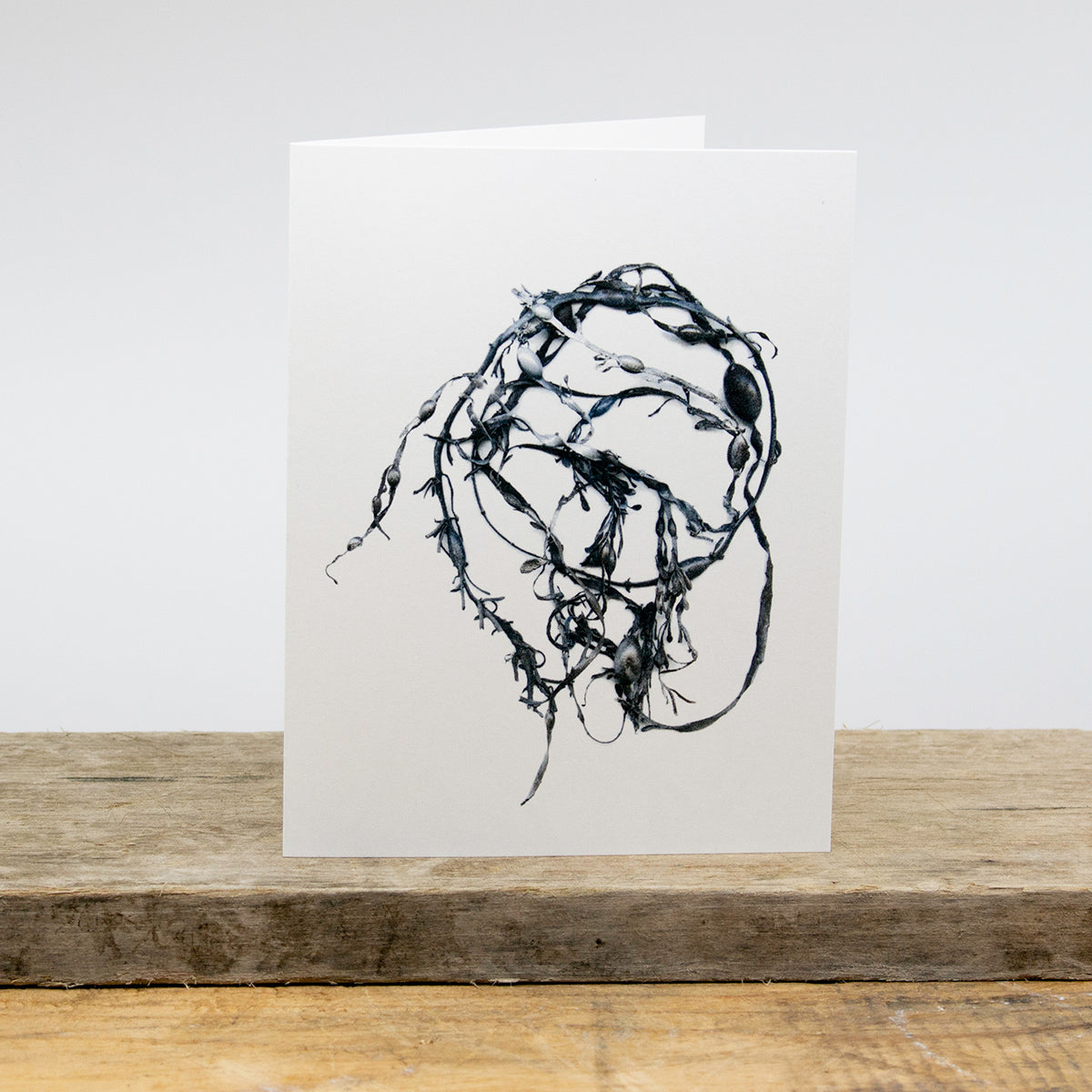 Rockweed Greeting Card