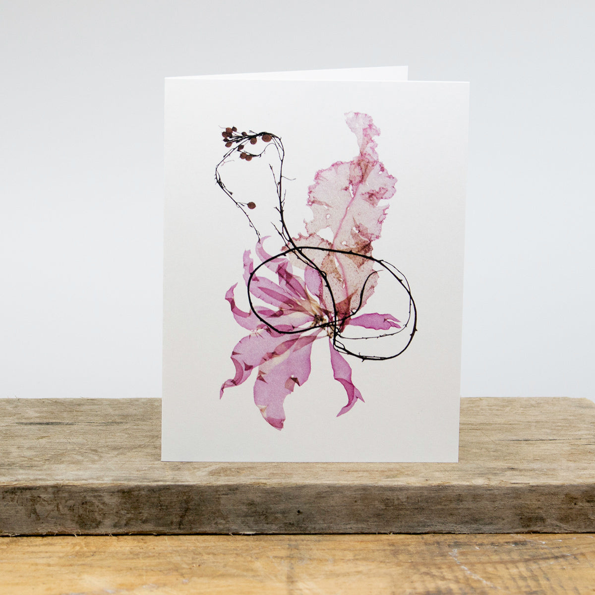 Atlantic Seaweed Card Package