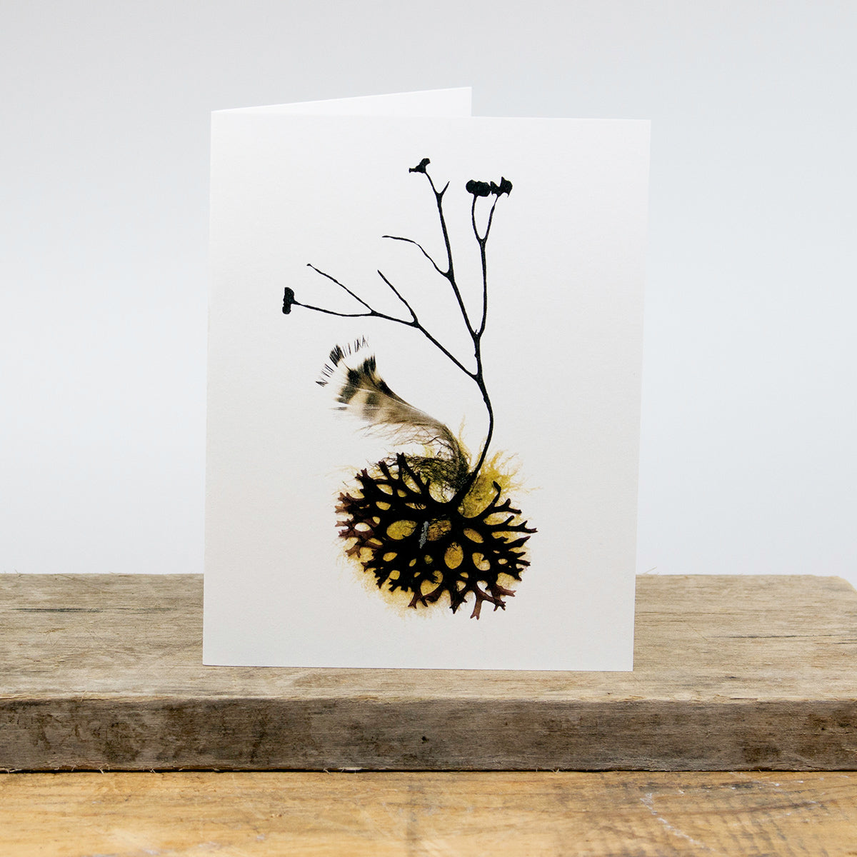 Zephyr's Cove Card Package