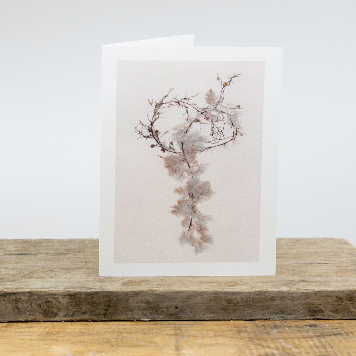 Narragansett Bay Card Package