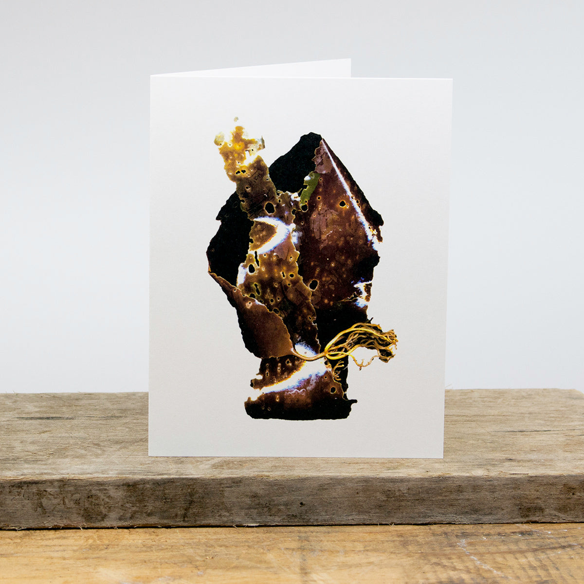 Sugar Kelp Greeting Card