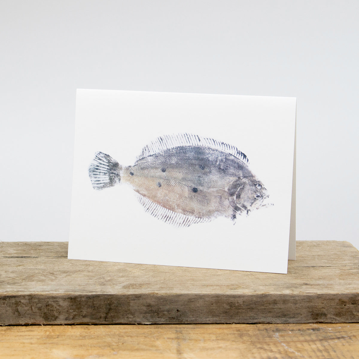 Atlantic Coast Fish Print Card Package