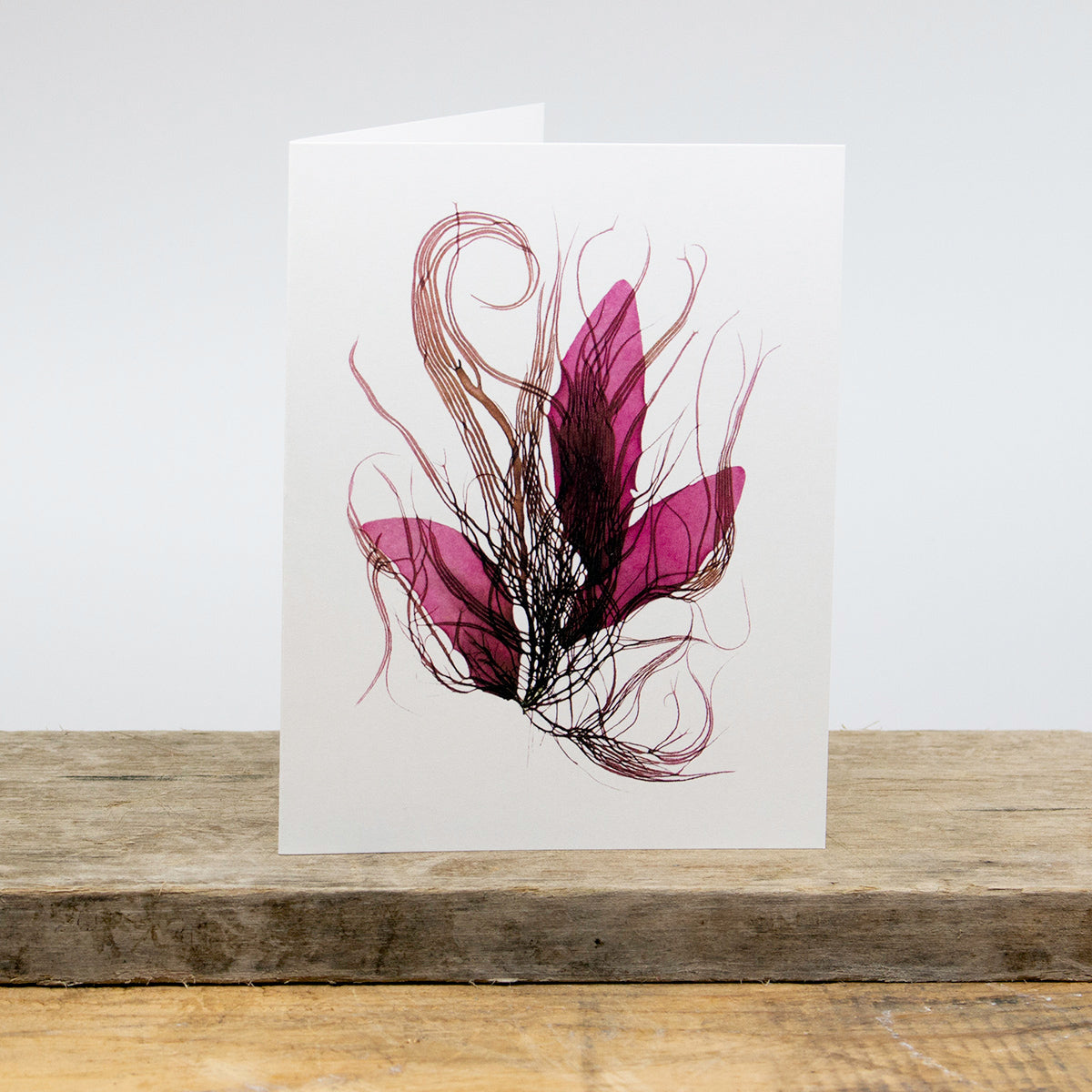 Zephyr Greeting Card