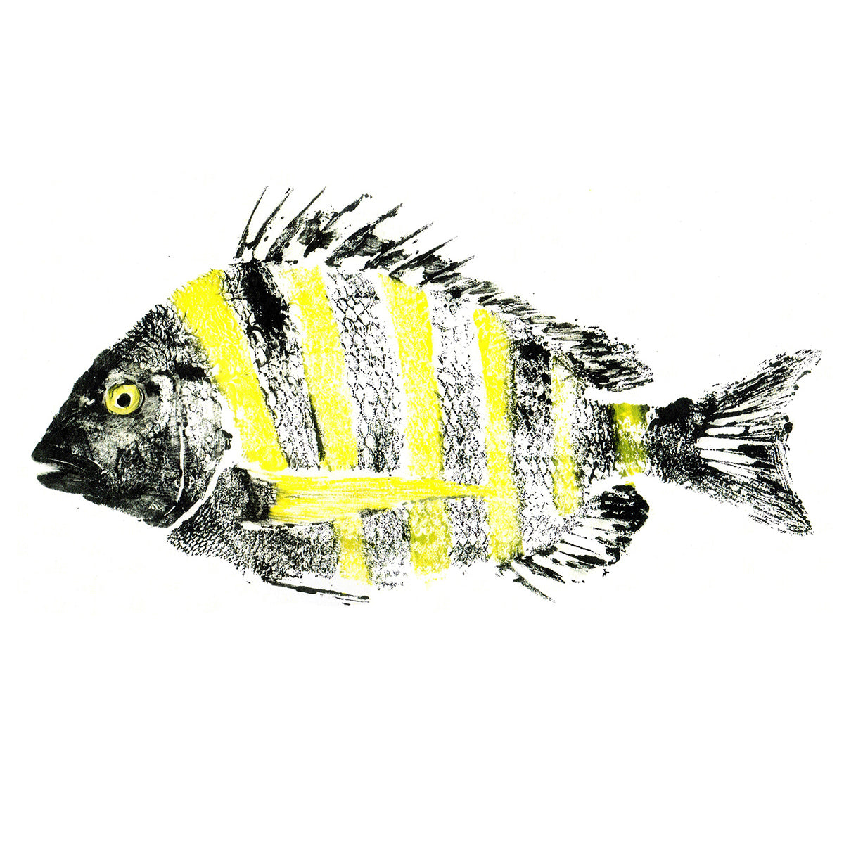 Gyotaku Fish Prints