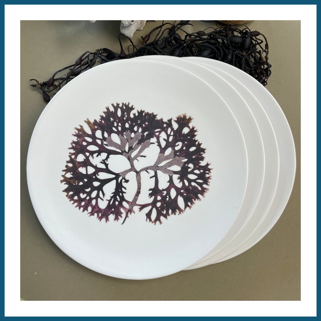 Melamine Dishware