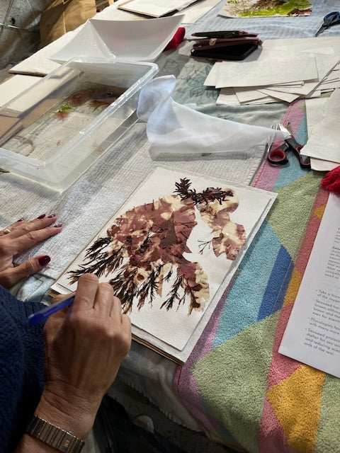 Custom Seaweed Pressing Workshop, Bachelorette Package