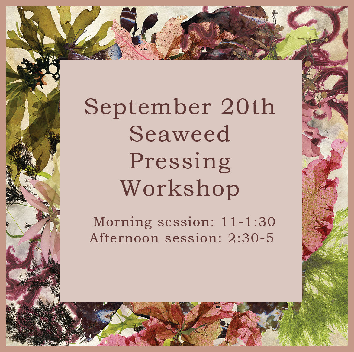 Seaweed Pressing Workshop September 20, 2025
