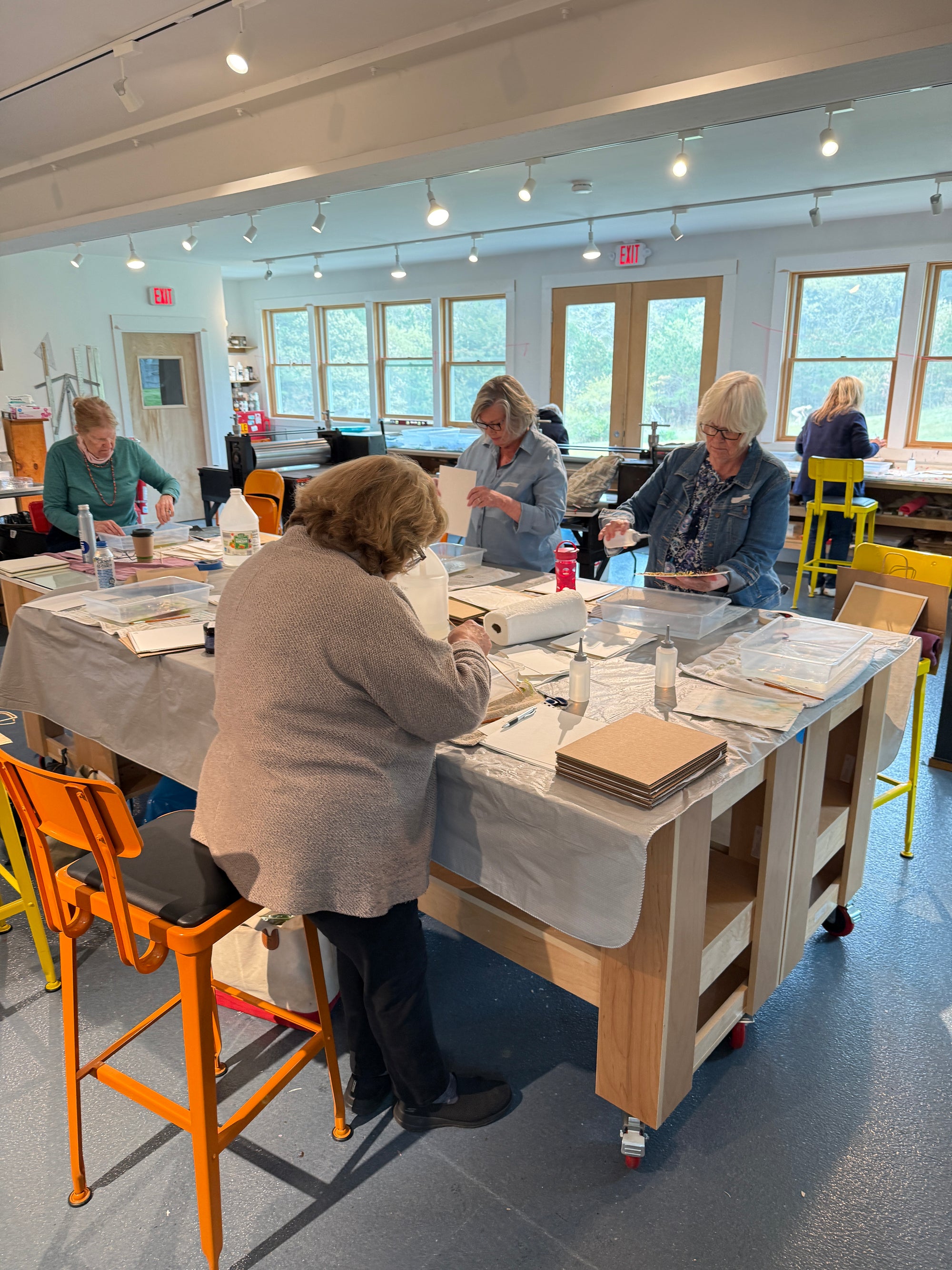 Original Seaweed Botanical Pressing: Tide Pool Series: Truro Cape Cod Collage