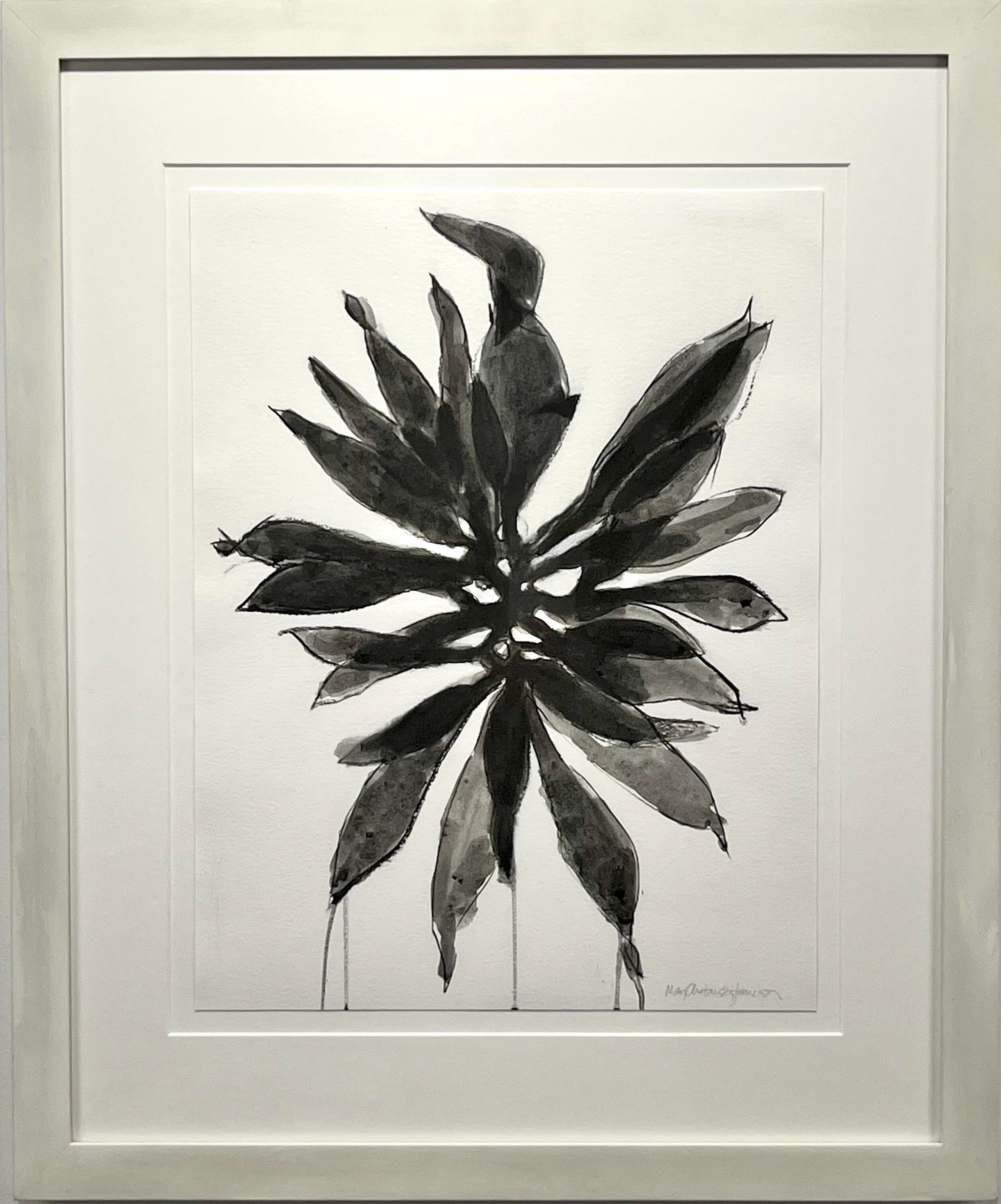 Seaweed Drawing