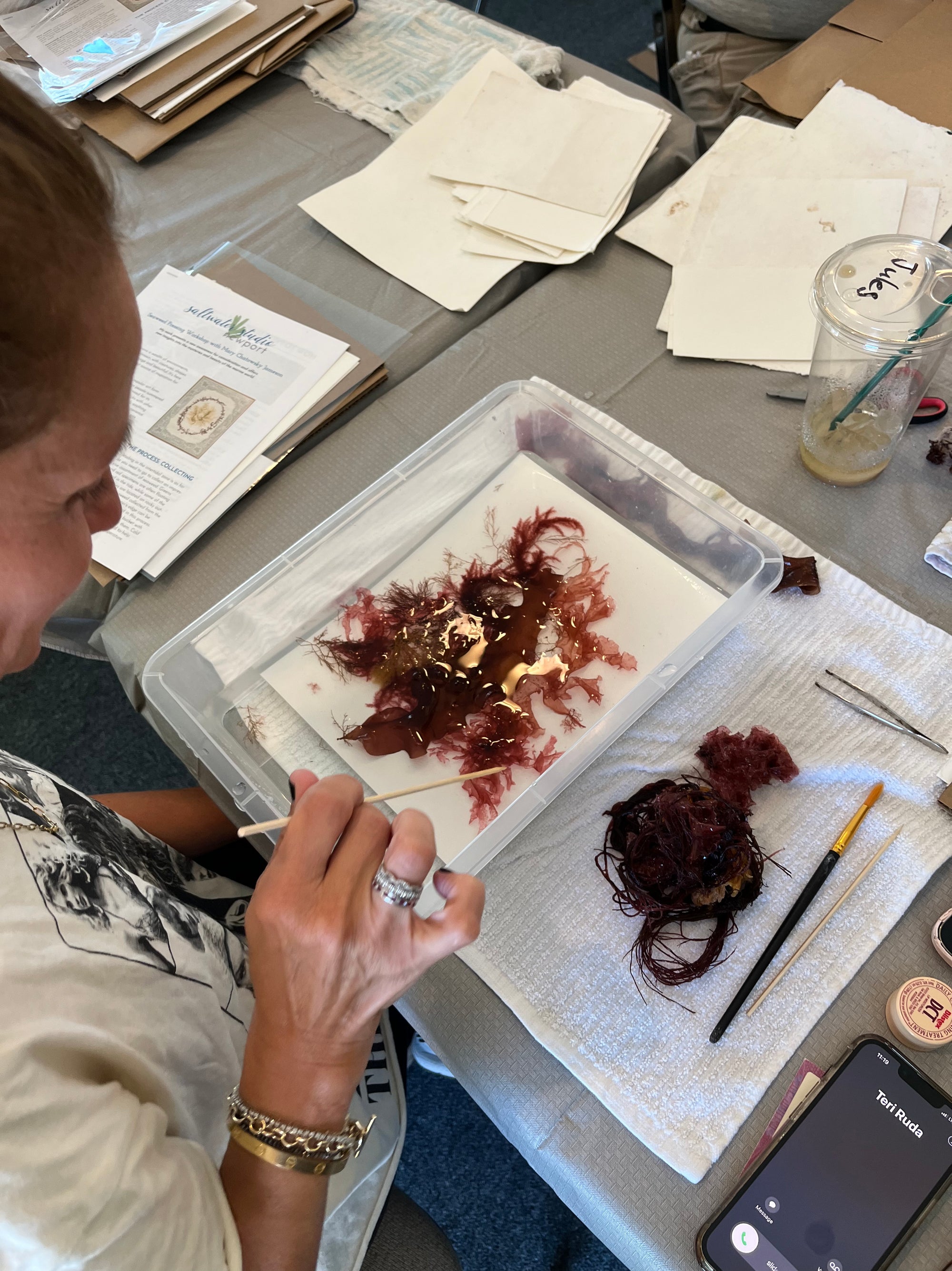 Seaweed Pressing Workshop – Block Island | July 19