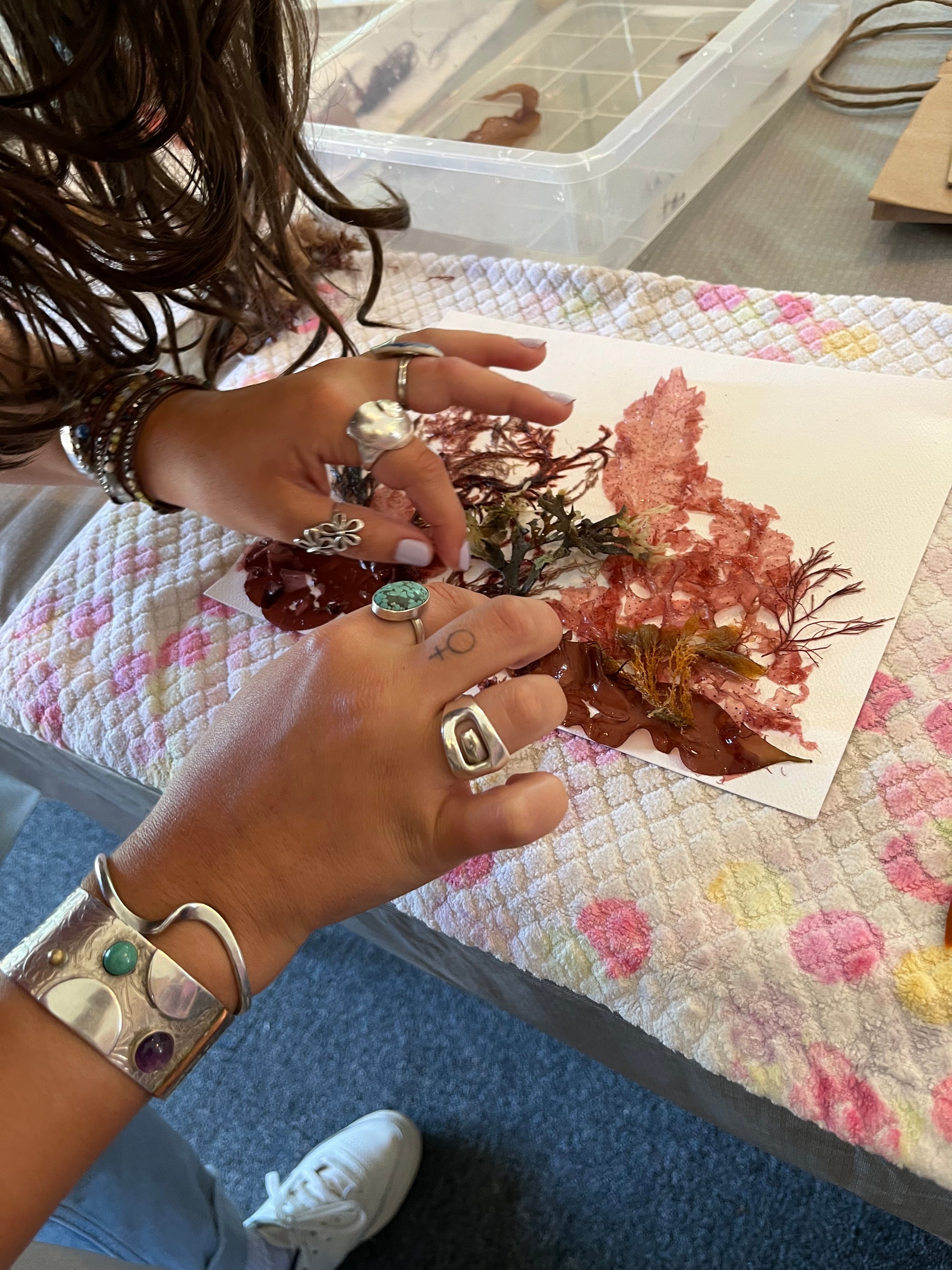 Seaweed Pressing Workshop October 17, 2026