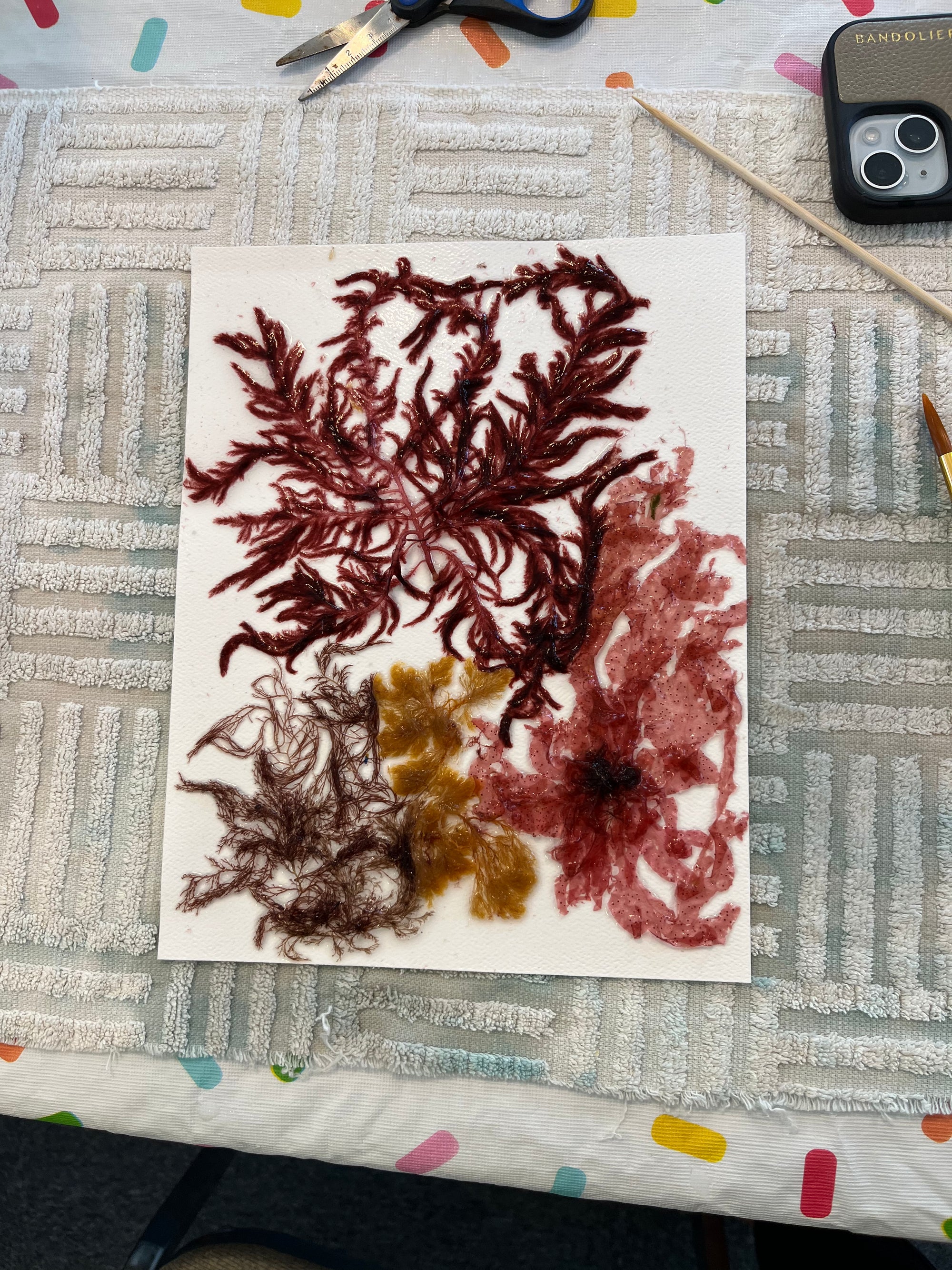 Seaweed Pressing Workshop – Block Island | July 19