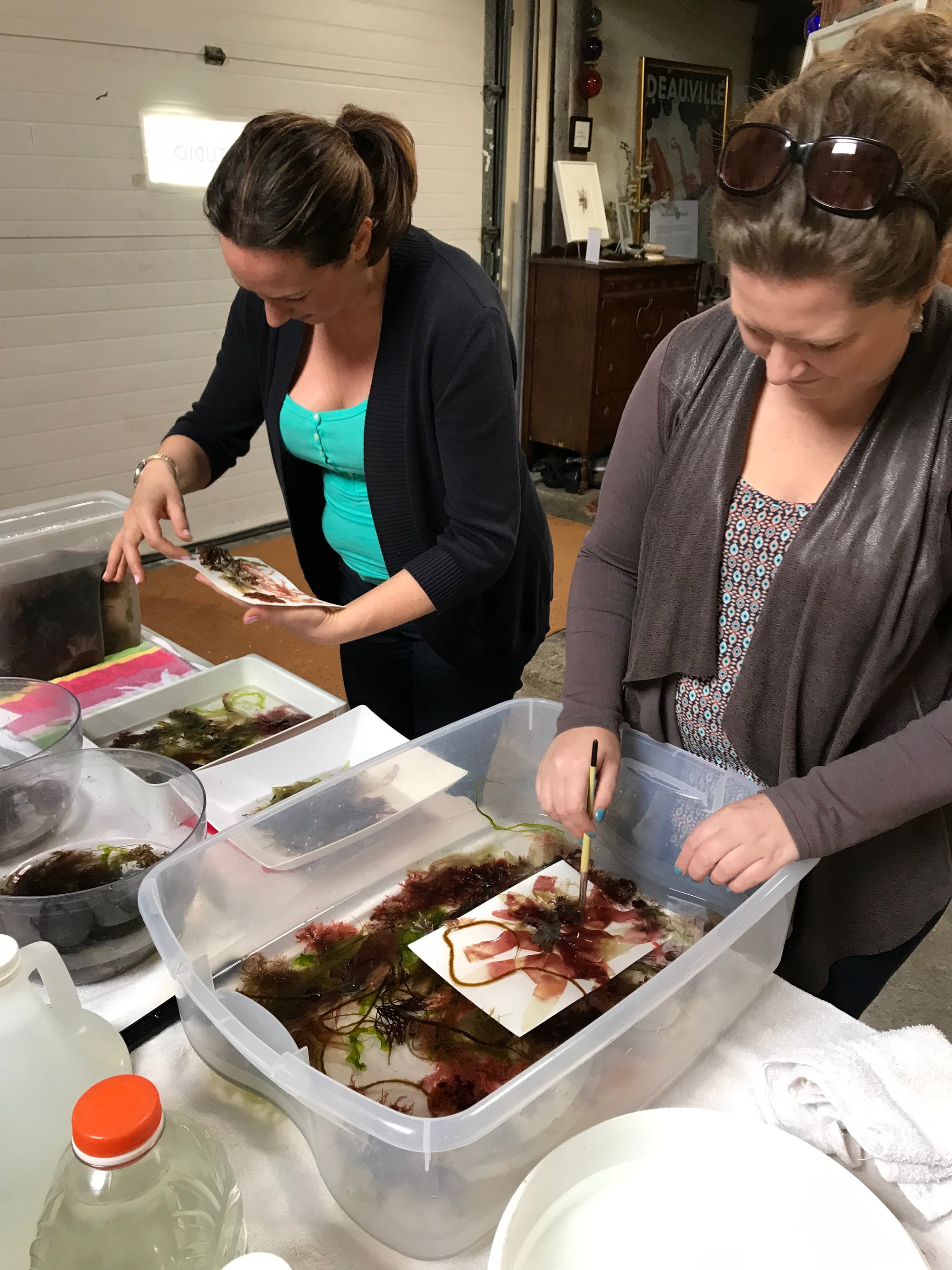 Custom Seaweed Pressing Workshop
