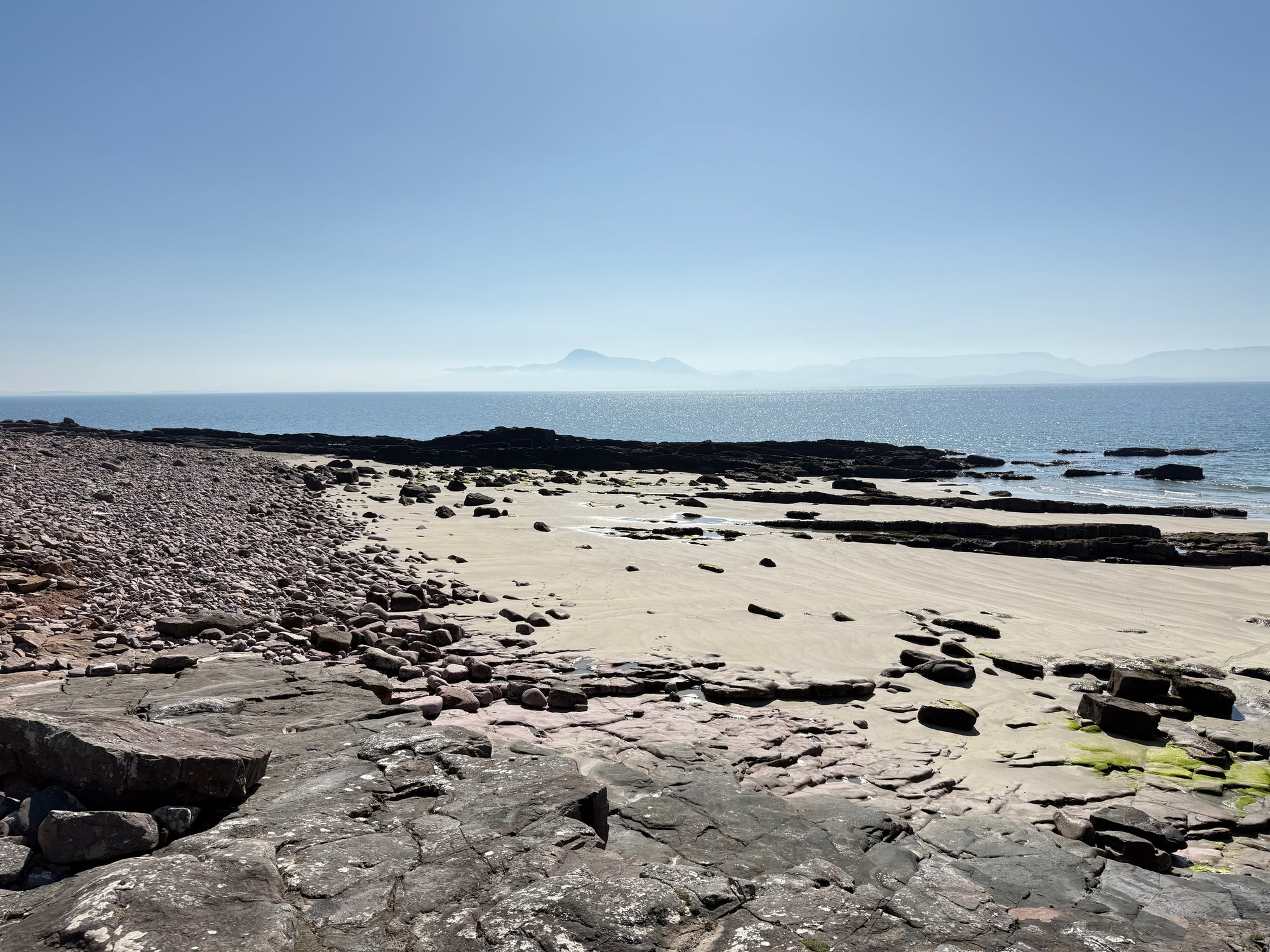 Original Seaweed Botanical Pressing: County Mayo Collage (Ireland)