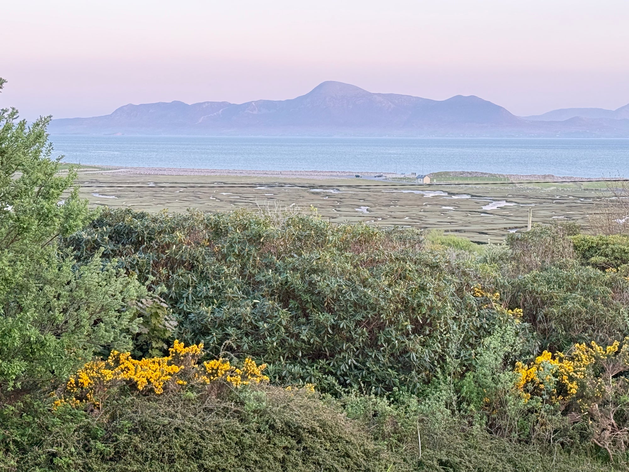 Original Seaweed Botanical Pressing: County Mayo Collage (Ireland)