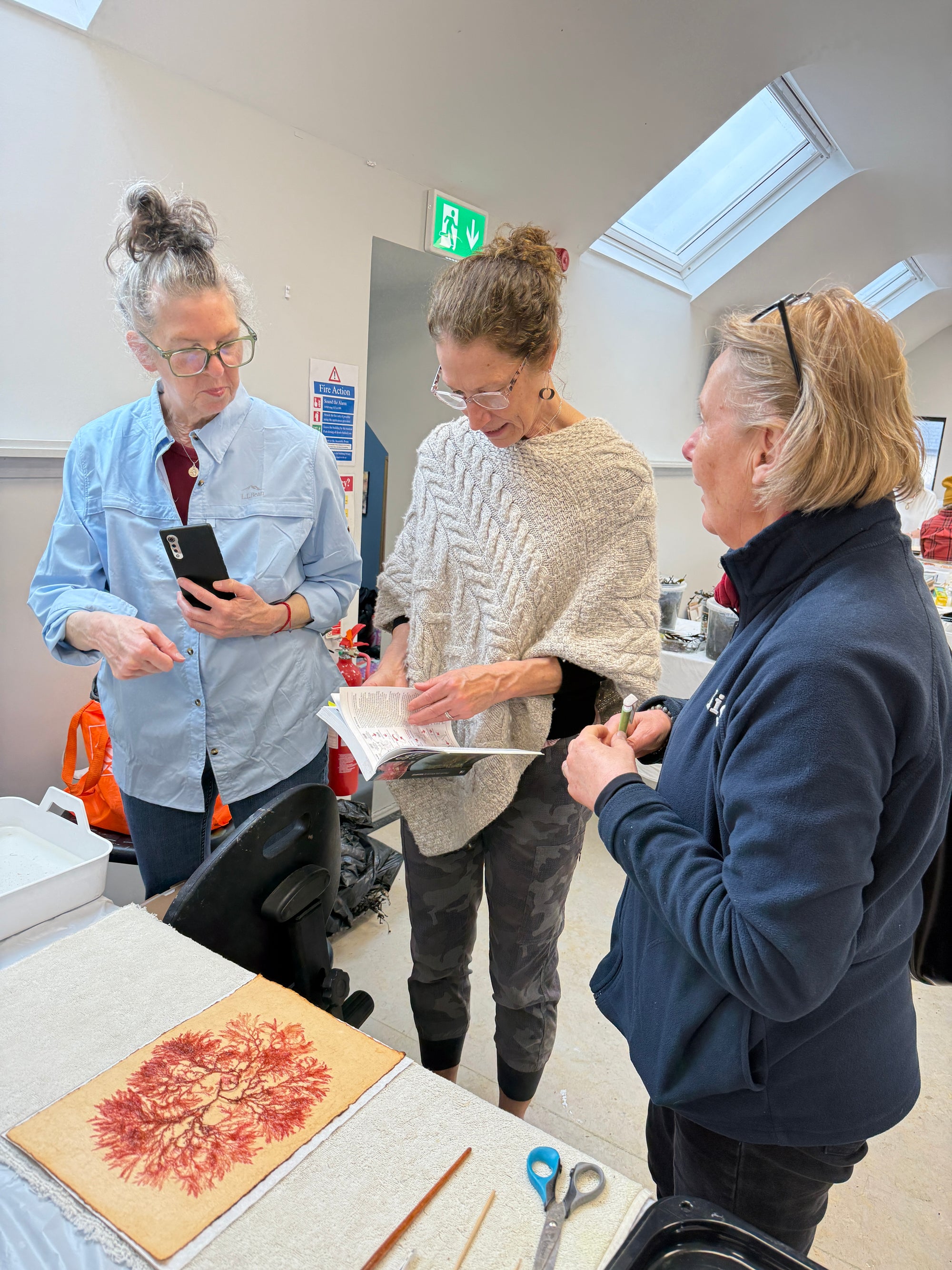 Original Seaweed Botanical Pressing: County Mayo Collage (Ireland)