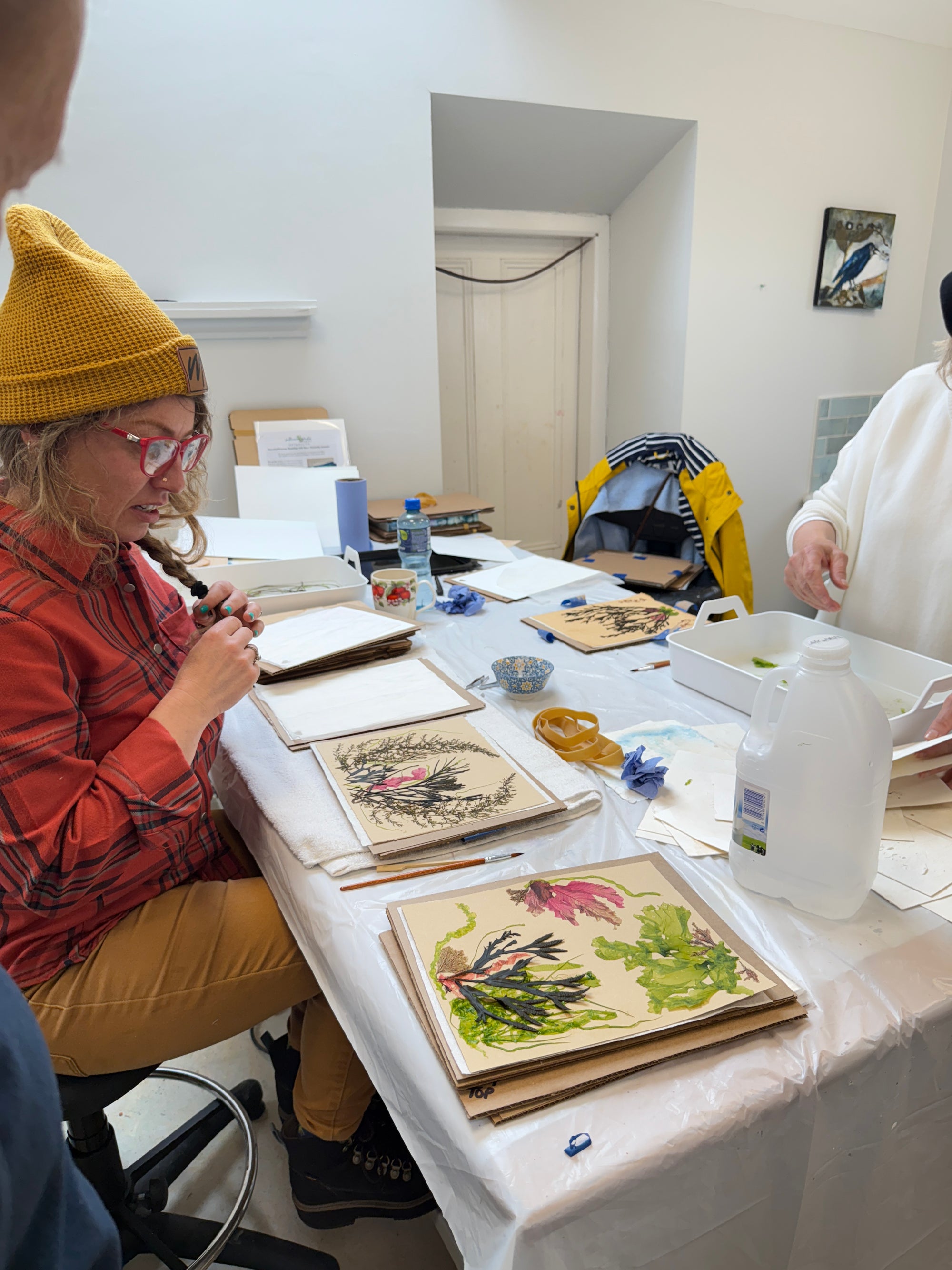 Seaweed Pressing Workshop 6/6/26