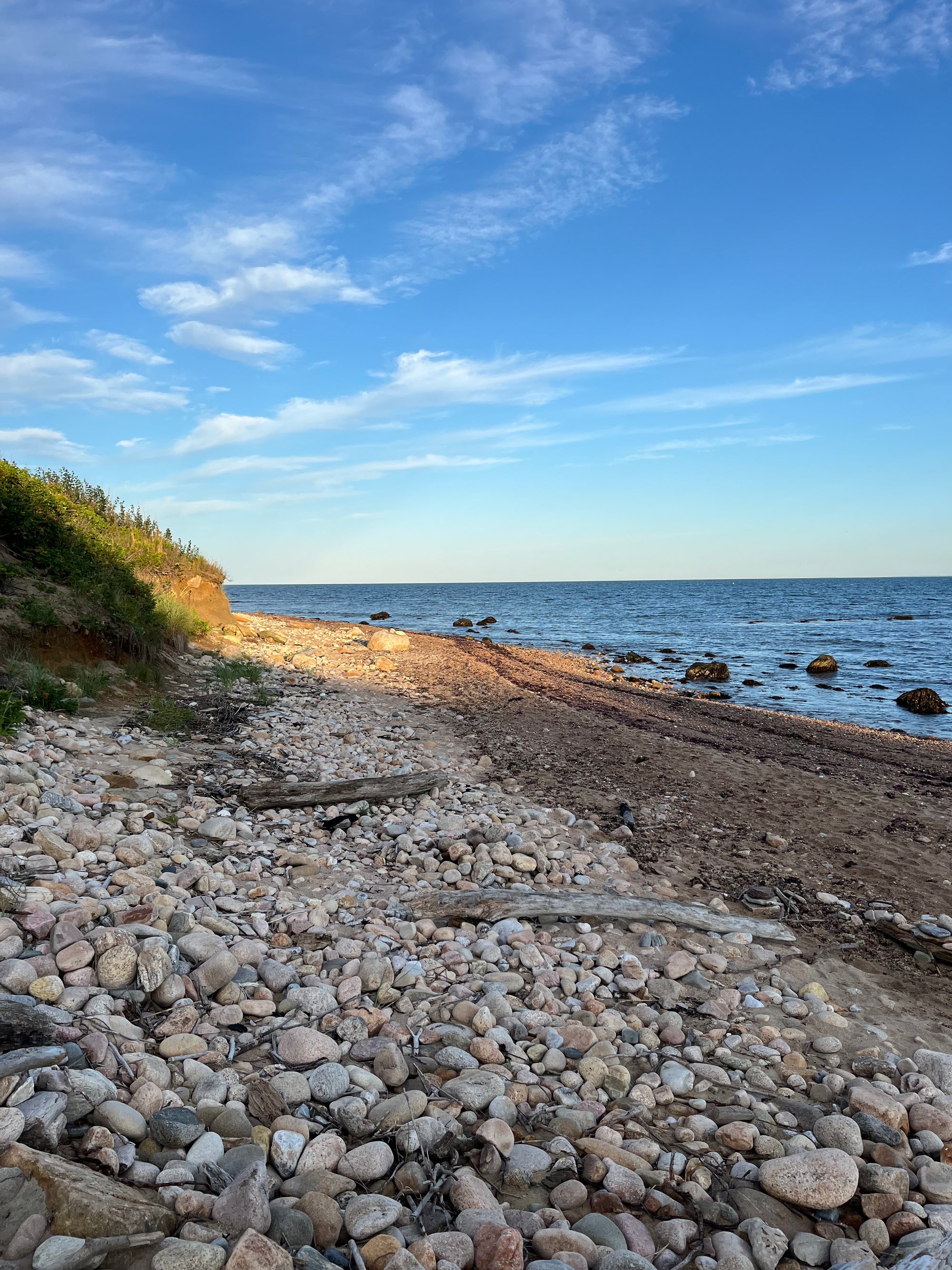 Seaweed Pressing Workshop – Block Island | July 19