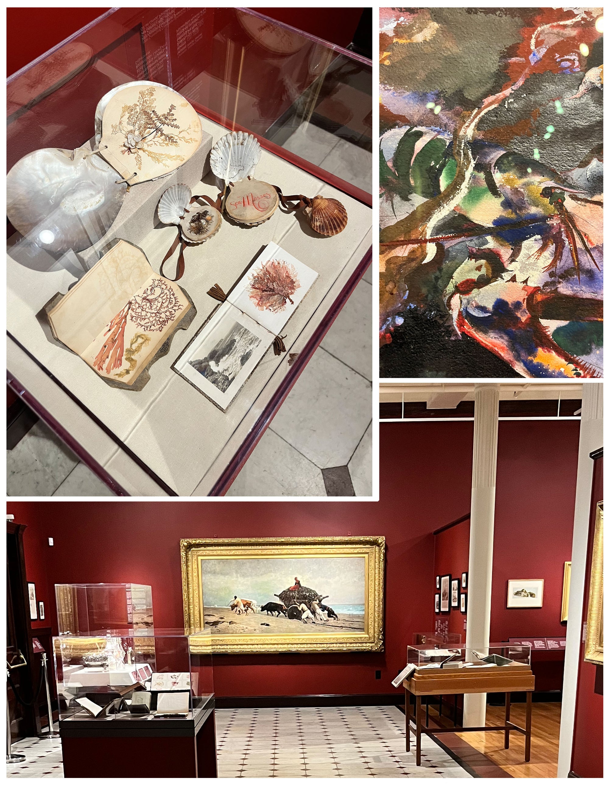 A Singularly Marine & Fabulous Produce: The Cultures of Seaweed – Exhibition Catalogue