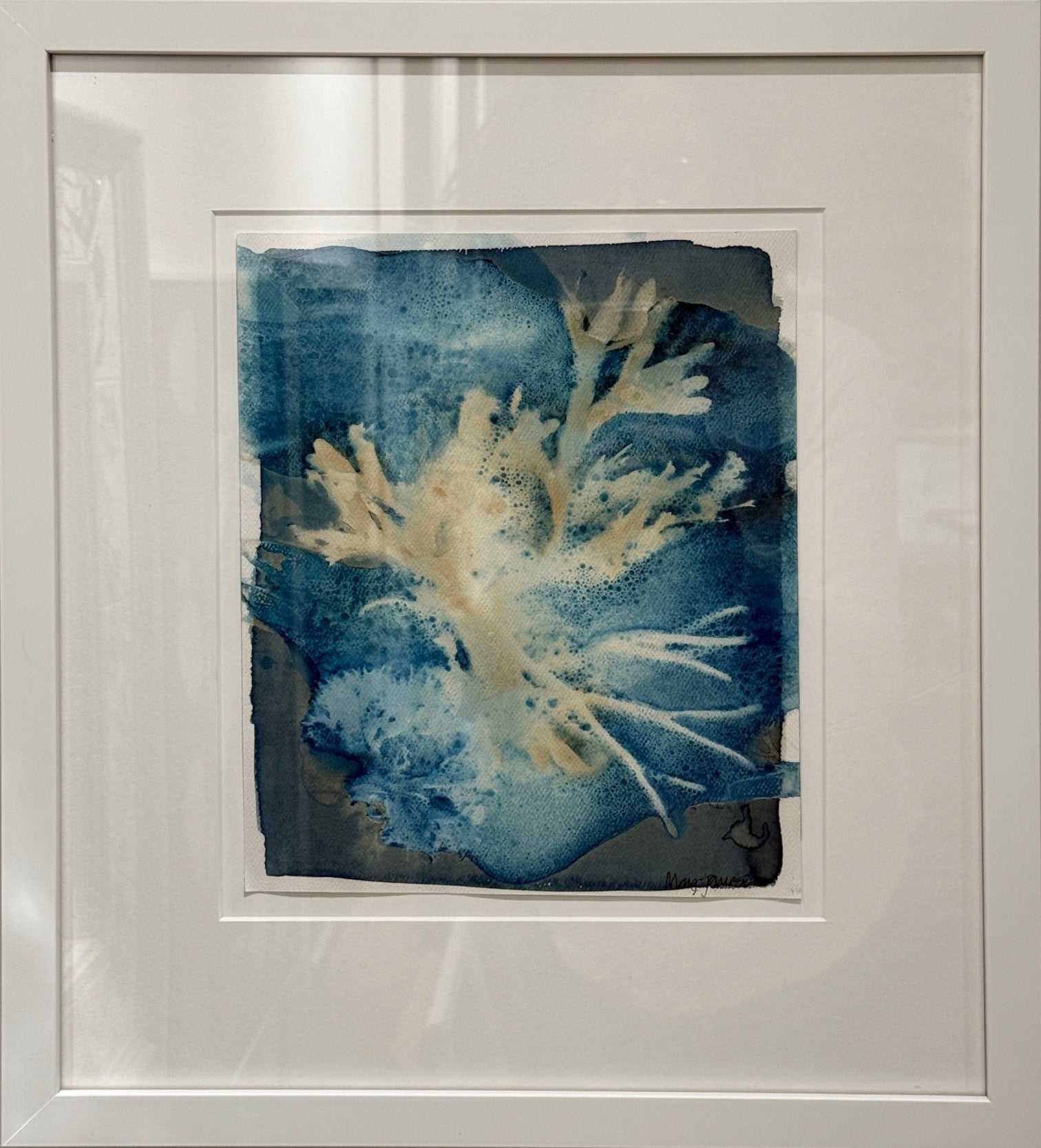 Original Seaweed Cyanotype: Narragansett Passage