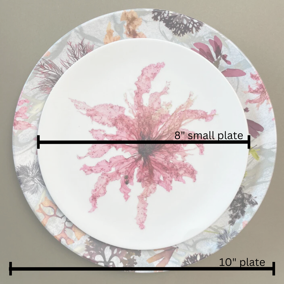 Melamine Small Plates