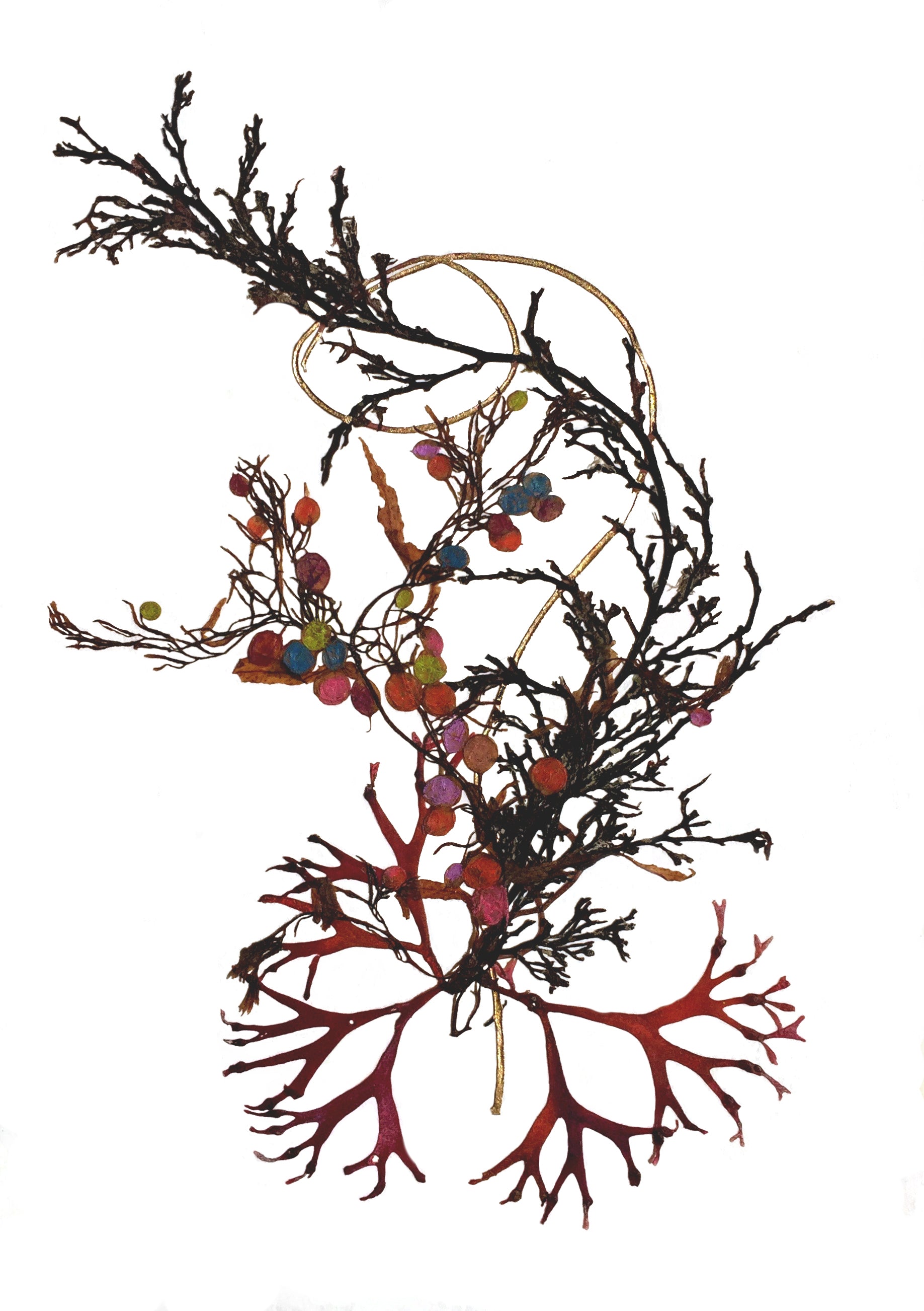 Custom Seaweed Pressing Workshop, Bachelorette Package