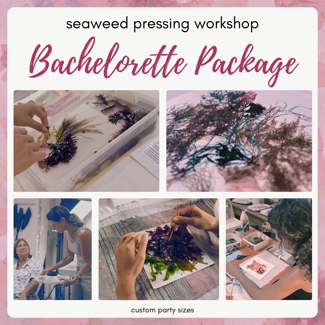 Custom Seaweed Pressing Workshop, Bachelorette Package