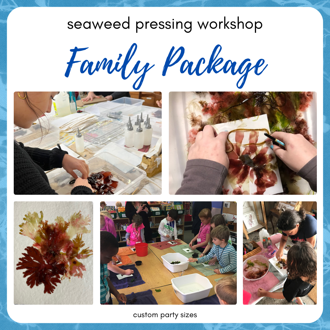 Custom Seaweed Pressing Workshop, Family Package