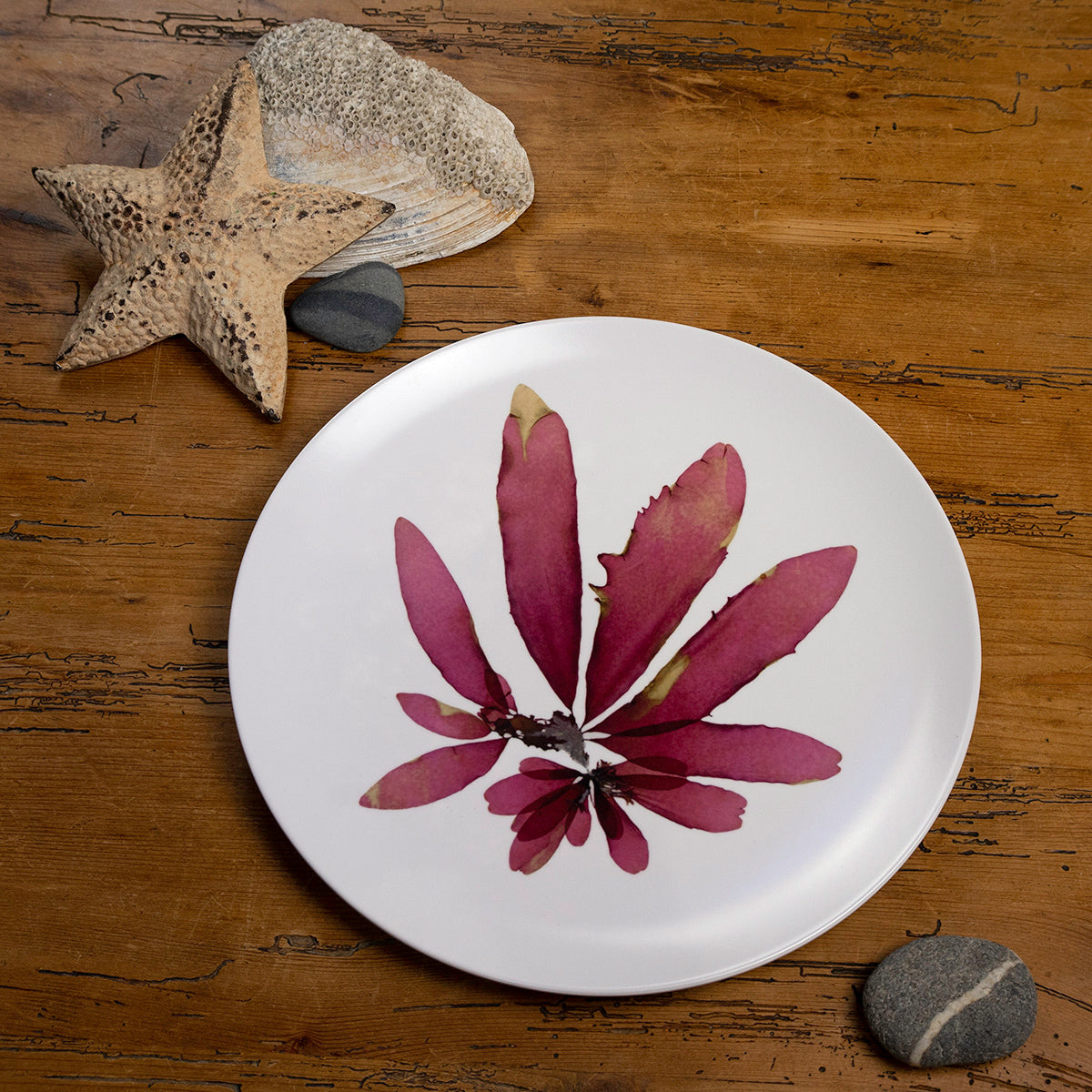 Sachuest Butterfly Plate
