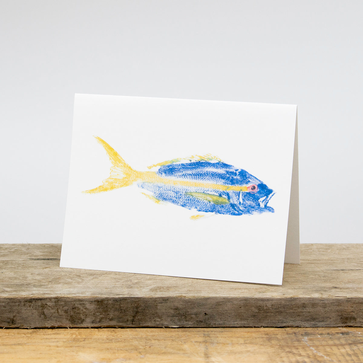 Atlantic Coast Fish Print Card Package